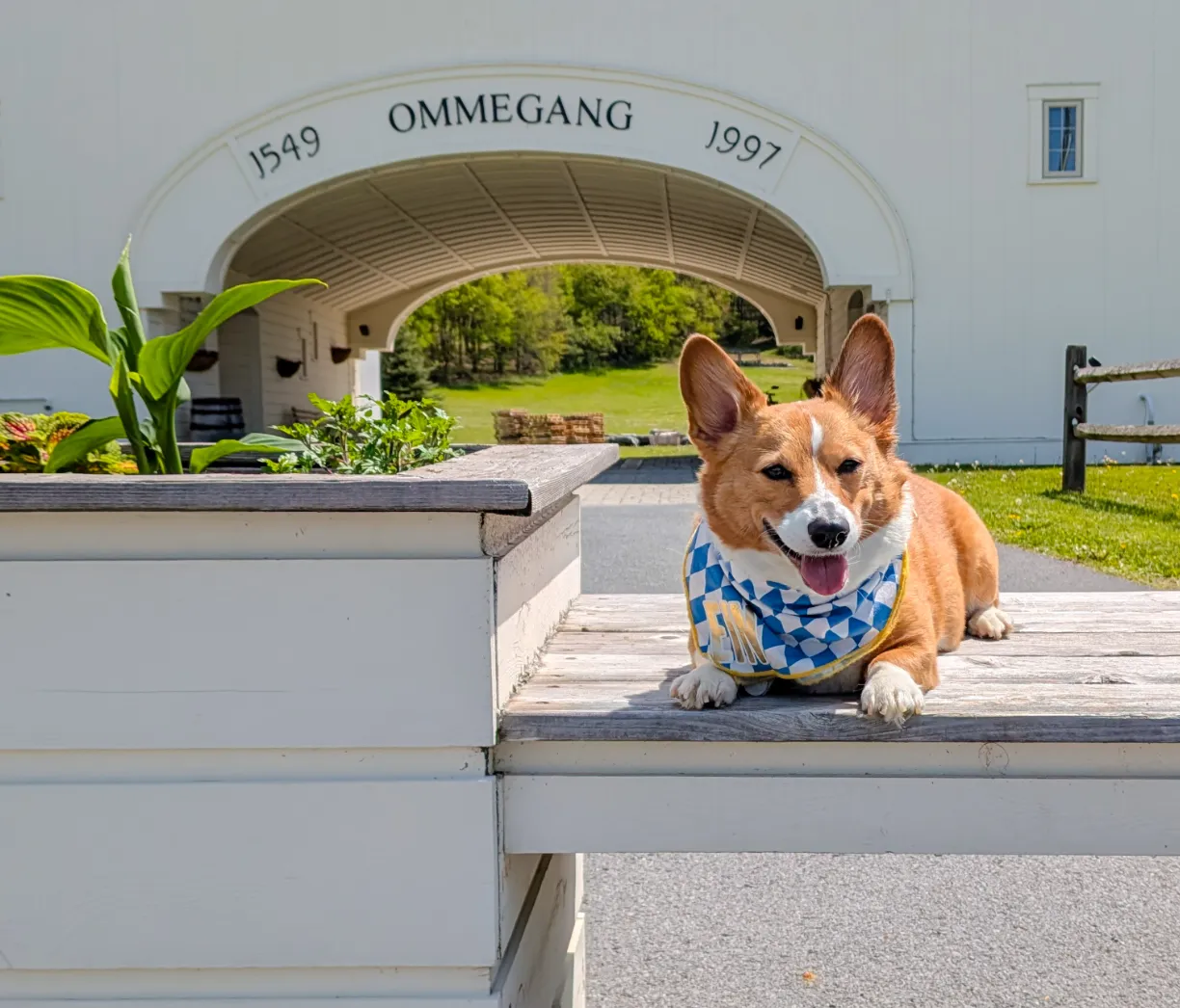 Ein by the front arc