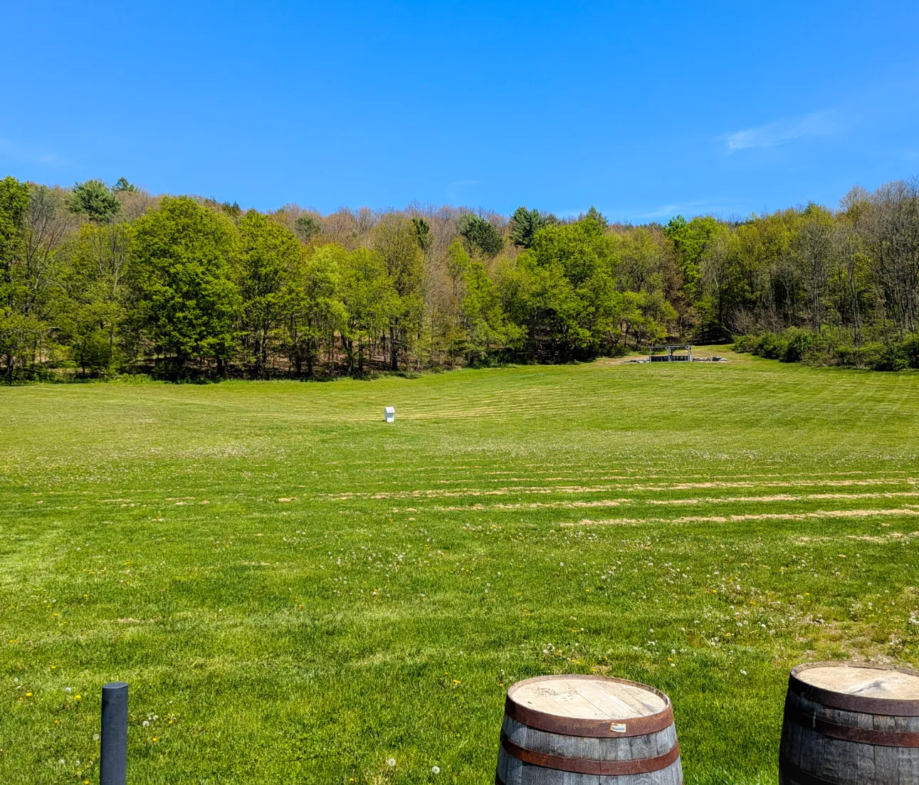 Patio back field