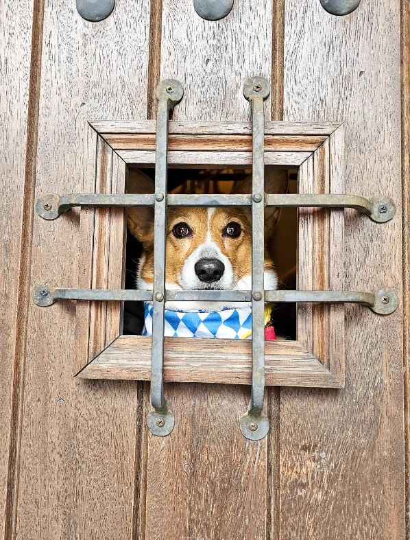 Ein locked behind the door, help!