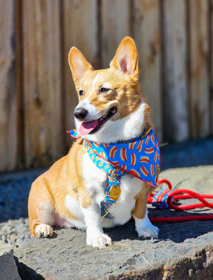 Ein by the front sign
