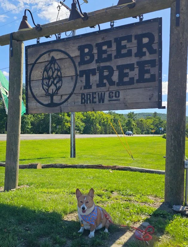 Ein by the road sign