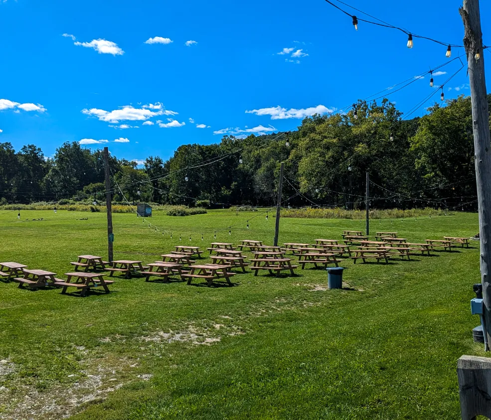 Shot of field picnic area